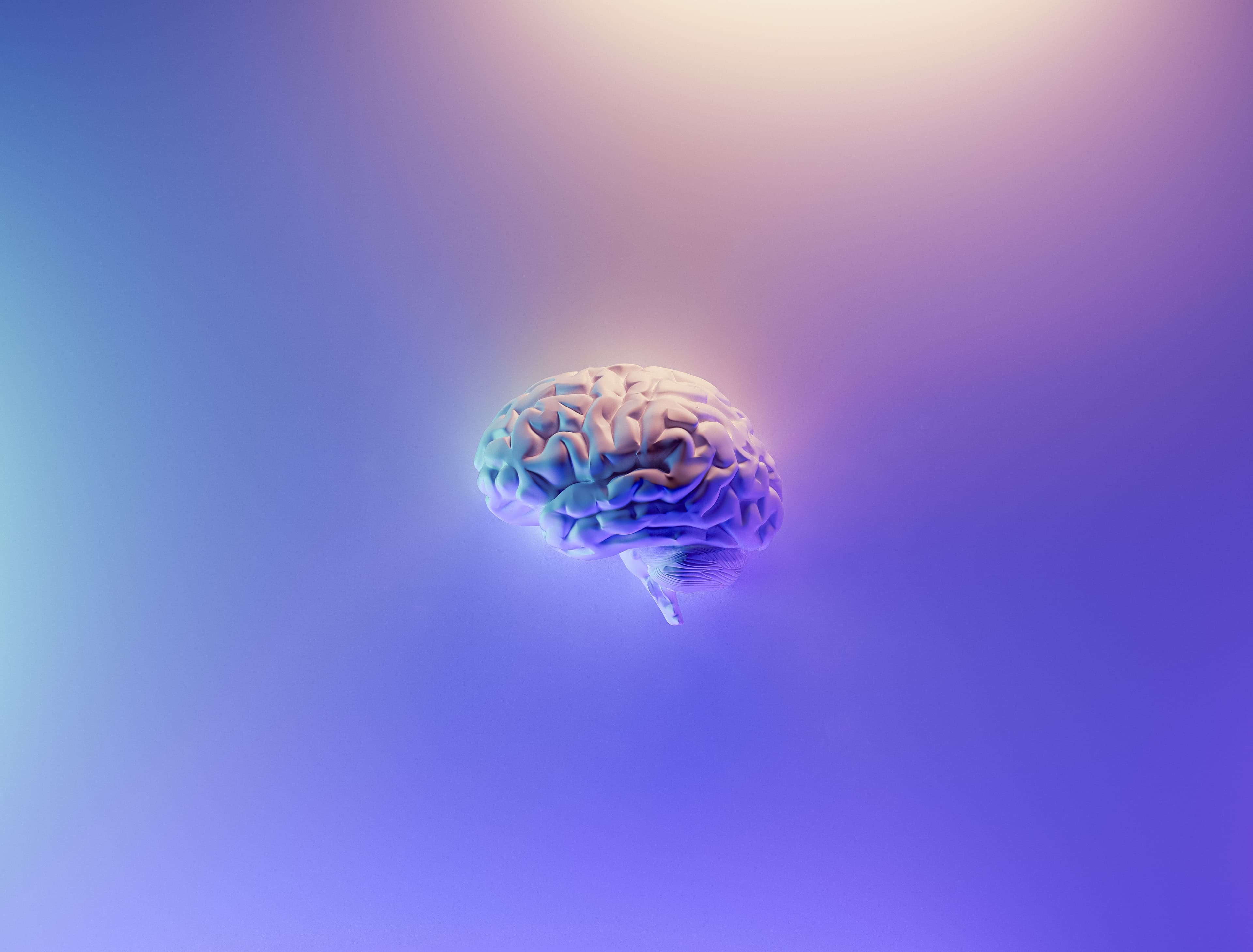 Unlocking the Power of Neuroscience: How It Can Enhance the Lives of Customers
